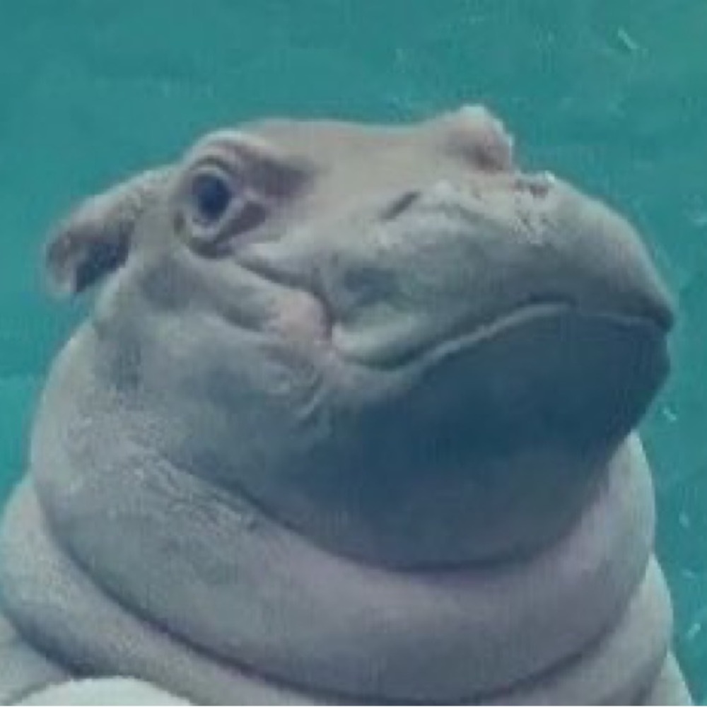 Meet your Posher, Caroline